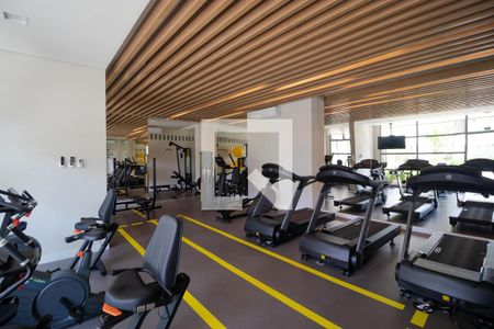 Área comum - Academia de apartamento para alugar com 2 quartos, 67m² em Jardim Brasil, Campinas