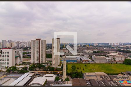 Sala de apartamento para alugar com 2 quartos, 154m² em Vila Leopoldina, São Paulo