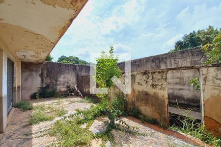 Quintal de casa à venda com 3 quartos, 514m² em Jardim Leonor, Campinas