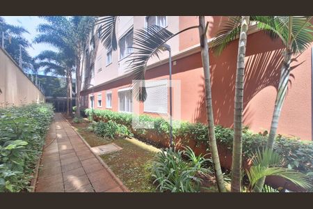 Área comum de apartamento para alugar com 2 quartos, 35m² em Vila Leopoldina, São Paulo