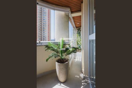 Varanda de apartamento para alugar com 3 quartos, 124m² em Casa Branca, Santo André