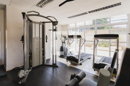 Área comum - Academia de apartamento para alugar com 3 quartos, 124m² em Casa Branca, Santo André