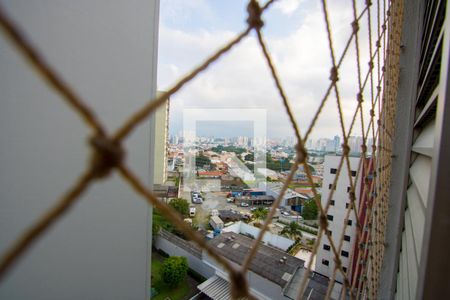 Vista do quarto 1 de apartamento para alugar com 2 quartos, 80m² em Vila Valparaíso, Santo André