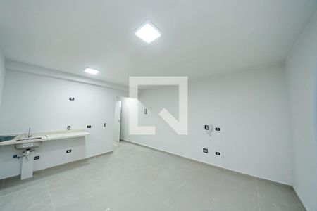 Sala/Quarto/Cozinha de apartamento para alugar com 1 quarto, 41m² em Vila Formosa, São Paulo