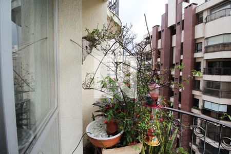 Varanda sala e Quarto 2 de apartamento à venda com 3 quartos, 85m² em Indianópolis, São Paulo