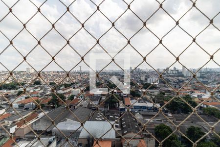 Vista da Varanda da Sala de apartamento para alugar com 3 quartos, 74m² em Vila das Merces, São Paulo