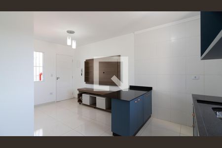 Cozinha de apartamento para alugar com 1 quarto, 35m² em Vila Guilhermina, São Paulo