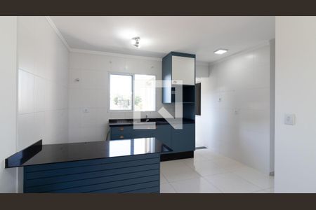 Cozinha de apartamento para alugar com 1 quarto, 35m² em Vila Guilhermina, São Paulo