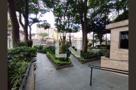 Área comum - Área verde de apartamento para alugar com 3 quartos, 84m² em Vila da Saúde, São Paulo