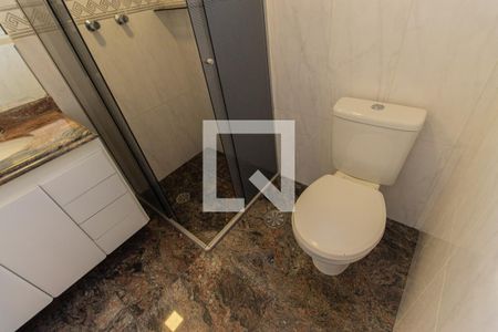 Banheiro da Suíte de apartamento para alugar com 2 quartos, 65m² em Cambuci, São Paulo