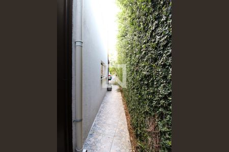 Corredor lateral de casa de condomínio à venda com 2 quartos, 176m² em Jardim Guapira, São Paulo