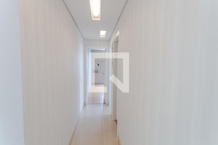 Corredor de apartamento à venda com 3 quartos, 180m² em Sagrada Família, Belo Horizonte