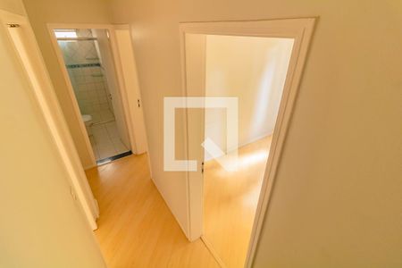 Corredor de apartamento para alugar com 2 quartos, 67m² em Vila Mascote, São Paulo