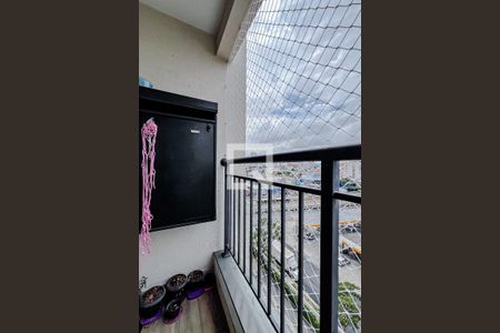 Varanda da Sala de apartamento para alugar com 2 quartos, 46m² em Cambuci, São Paulo