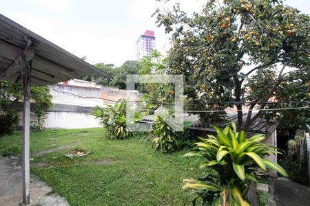 Quintal de casa à venda com 2 quartos, 404m² em Vila Sonia, São Paulo