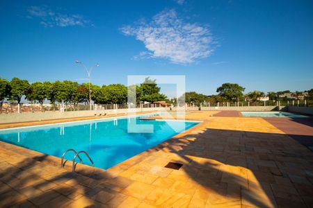 Área comum - Piscina de apartamento à venda com 3 quartos, 76m² em Jardim do Vovô, Campinas