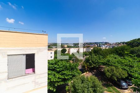 Vista do Quarto 01 de apartamento à venda com 3 quartos, 76m² em Jardim do Vovô, Campinas