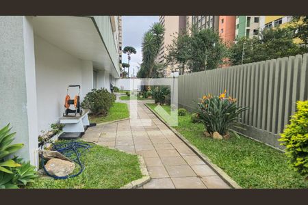 Área comum - verde de apartamento para alugar com 3 quartos, 150m² em Cristo Rei, Curitiba