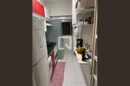 Apartamento à venda com 2 quartos, 50m² em Cambuci, São Paulo