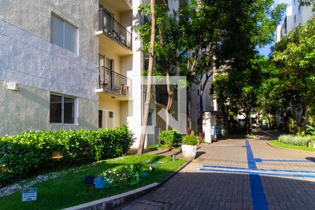 Área comum de apartamento à venda com 2 quartos, 45m² em Vila Mendes, São Paulo