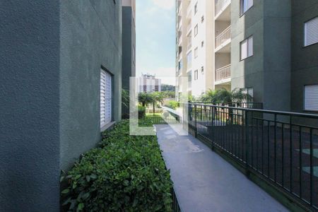 Área comum de apartamento para alugar com 2 quartos, 47m² em Jardim Nove de Julho, São Paulo