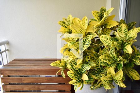 Sacada de apartamento à venda com 2 quartos, 130m² em Chácara Inglesa, São Paulo