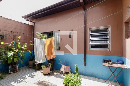 Área de Serviço de casa para alugar com 4 quartos, 142m² em Cidade São Mateus, São Paulo