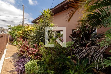 Jardim de casa para alugar com 4 quartos, 142m² em Cidade São Mateus, São Paulo