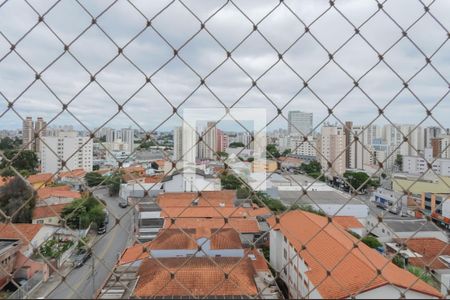 Sala - vista de apartamento à venda com 3 quartos, 74m² em Baeta Neves, São Bernardo do Campo