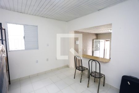 Sala/Quarto de casa para alugar com 1 quarto, 28m² em Jardim Santo Antonio, São Paulo