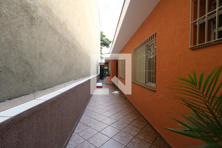 Quintal de casa para alugar com 3 quartos, 195m² em Jardim, Santo André