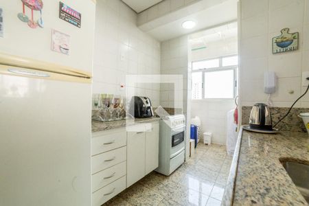 Cozinha de apartamento para alugar com 1 quarto, 56m² em Anchieta, Belo Horizonte
