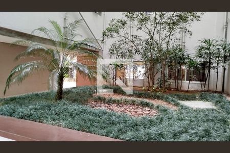 Área comum - jardim de apartamento à venda com 3 quartos, 71m² em Vila Esperança, São Paulo