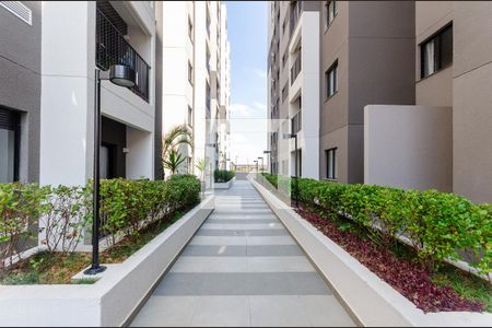 Área Comum de apartamento para alugar com 2 quartos, 38m² em Vila Marina, São Paulo
