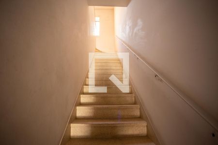 Área Externa de casa para alugar com 3 quartos, 600m² em Limão, São Paulo