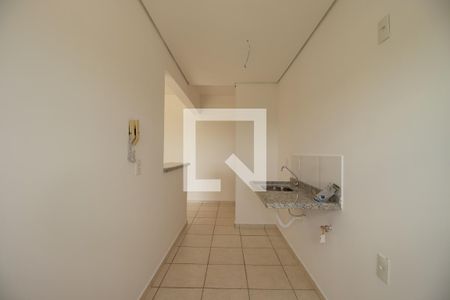 Cozinha de apartamento para alugar com 2 quartos, 57m² em Residencial E Comercial Palmares, Ribeirão Preto