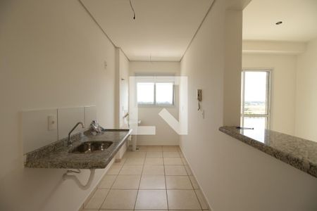 Cozinha de apartamento para alugar com 2 quartos, 57m² em Residencial E Comercial Palmares, Ribeirão Preto