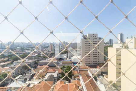 vista da sala de apartamento para alugar com 3 quartos, 100m² em Cambuci, São Paulo