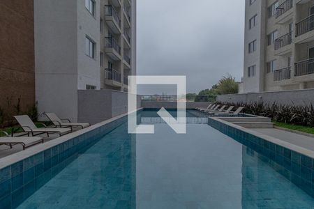 Área Comum - Piscina  de apartamento à venda com 2 quartos, 36m² em Vila Guilhermina, São Paulo