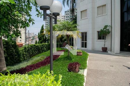 Área comum de apartamento à venda com 3 quartos, 58m² em Parque Mandaqui, São Paulo