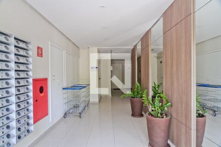 Área comum - Hall de apartamento para alugar com 2 quartos, 45m² em Jaraguá, São Paulo