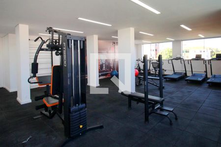 Área comum - Academia de apartamento à venda com 2 quartos, 50m² em Padre Eustáquio, Belo Horizonte
