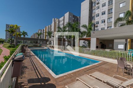 Área comum - Piscina de apartamento para alugar com 2 quartos, 50m² em Chácaras de Recreio 2000, Hortolândia
