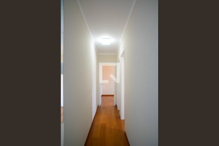 Corredor de apartamento para alugar com 2 quartos, 50m² em Jardim Previdencia, São Paulo