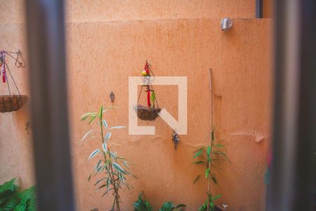 Casa à venda com 300m², 3 quartos e 3 vagasVista