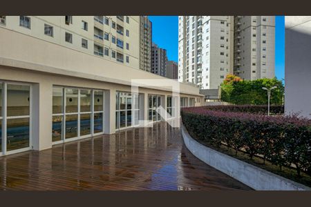 Área comum - Piscina de apartamento à venda com 3 quartos, 143m² em Cristo Rei, Curitiba