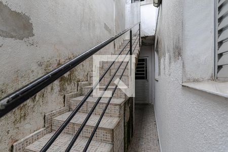Área de Serviço de casa para alugar com 2 quartos, 200m² em Vila Ipiranga, Mogi das Cruzes