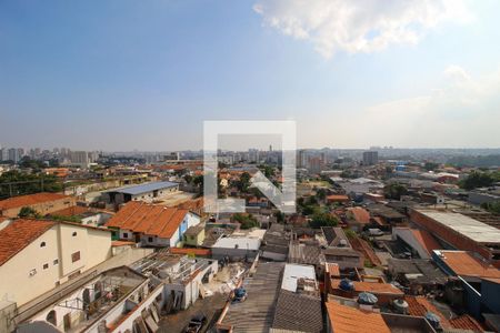 Cozinha Vista de apartamento para alugar com 2 quartos, 46m² em Jardim Norma, São Paulo