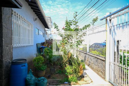 Jardim de casa à venda com 5 quartos, 220m² em Vila Santo Estefano, São Paulo