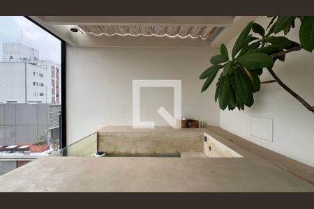 Varanda da sala/Piscina de apartamento para alugar com 1 quarto, 66m² em Sumarezinho, São Paulo